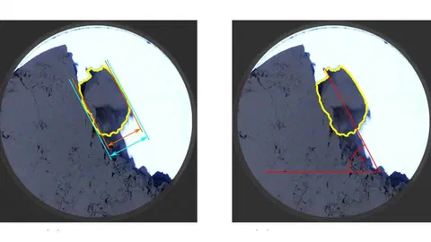A block-movement-based analysis for cohesive powders in a rotating drum experiment